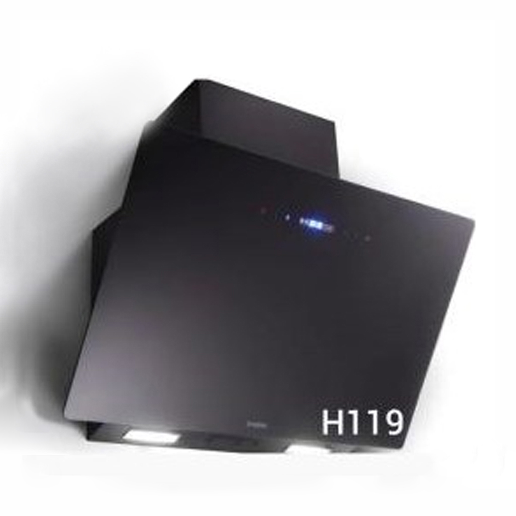 هود دیورسو مدل H119